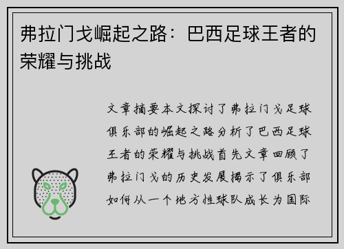 弗拉门戈崛起之路：巴西足球王者的荣耀与挑战